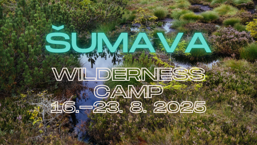 Mezinárodní Dobrovolnický tábor v NP Šumava 2025